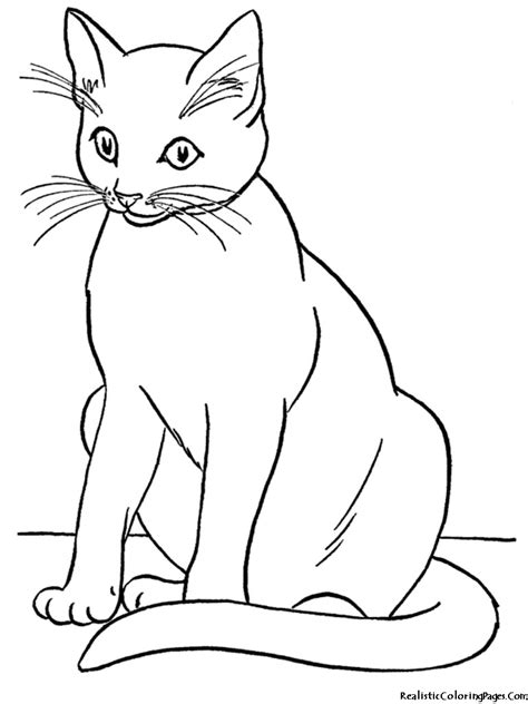 121 best disney coloring pages images on pinterest. Cat black and white realistic coloring pages of cats ...