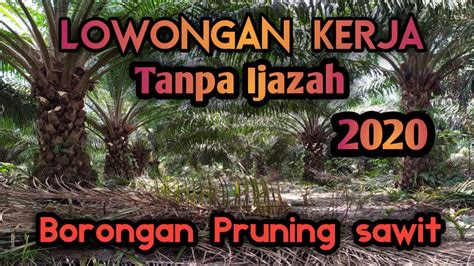 Loker di malangbong tanpa ijazah. Loker Di Malangbong Tanpa Ijazah / Lowongan Kerja Tanpa ...