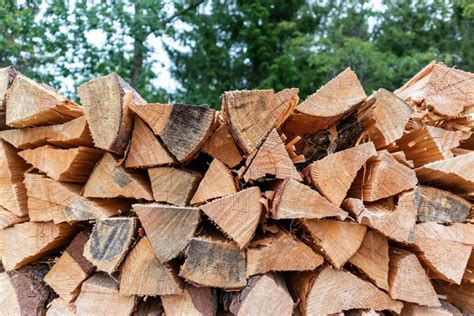 Here are four real options that you can take advantage of. andreas-pajuvirta-VfJ600bfjdc-unsplash - NY NJ Firewood