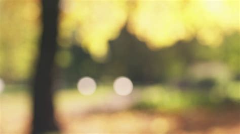If you want your background just barely blurred, use a radius of.5 or 1. Free photo: blurred background - Abstract, Design, Fantasy ...