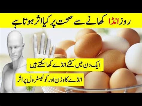 You're shampooing and conditioning every couple of days, you're applying a hair mask, and you're sleeping on a silk pillowcase, so why is your hair still suffering? Benefits of Eggs in Urdu | Anda Khane Ke Fayde/Fawaid ...