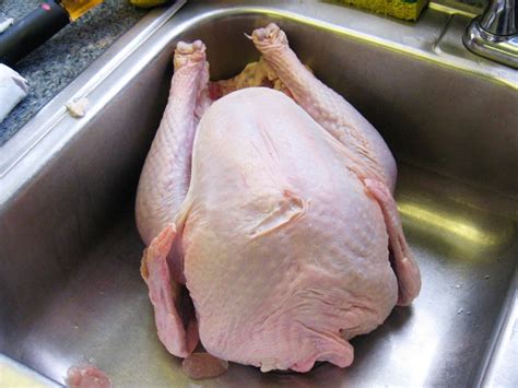 Wondering how to celebrate thanksgiving on a raw vegan food diet? Cross-Canada salmonella outbreak still under investigation ...