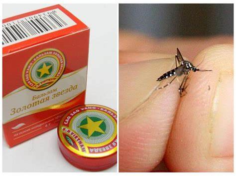 Бальзам похудей от фаберлик отзывы Бальзам звездочка от комаров и их укусов - отзывы и описание Бальзам звездочка от комаров и их укусов - отзывы и описание Бальзам похудей от фаберлик отзывы
