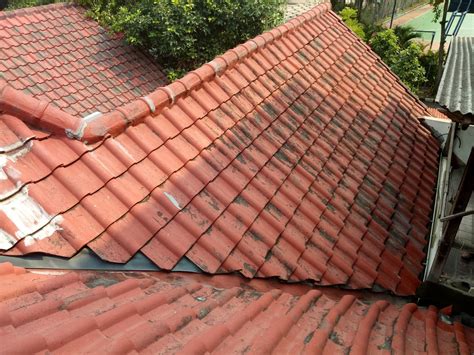 Tapi merawat bunga juga tak kalah menarik, salah satunya adalah anggrek. Cara Memperbaiki Atap Baja Ringan Yang Bocor - Bagi Hal Baik