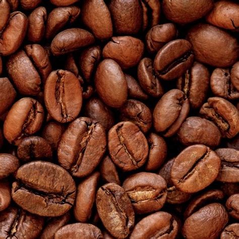 A good light roast will preserve the fruity, floral flavors of the coffee, resulting in a final cup that bright, pungent, and citrusy. Coffee Roast Levels (Explained, With Pictures And Pointers)