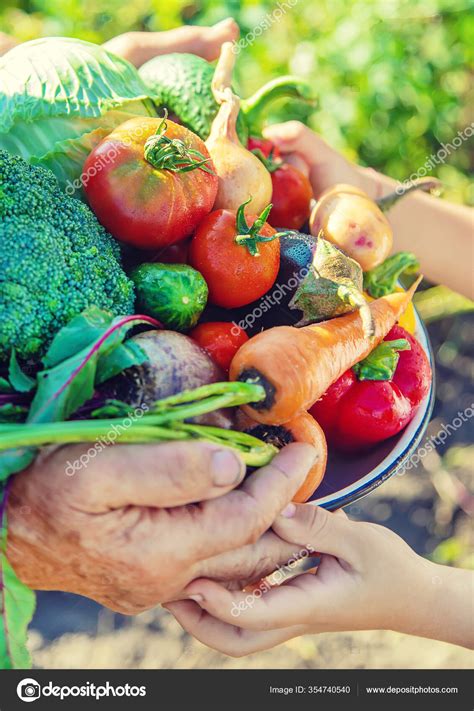 Convert yandex video to mp4 with ease. Niño Abuela Jardín Con Verduras Sus Manos Enfoque ...