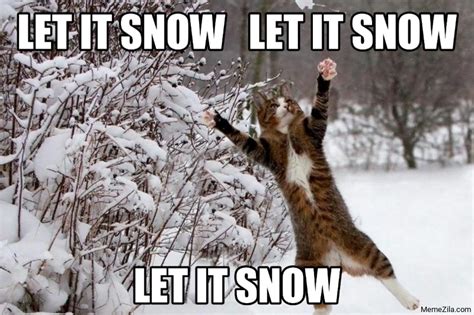 May the fourth be with you memes. Let it snow Let it snow Let it snow cat meme - MemeZila.com