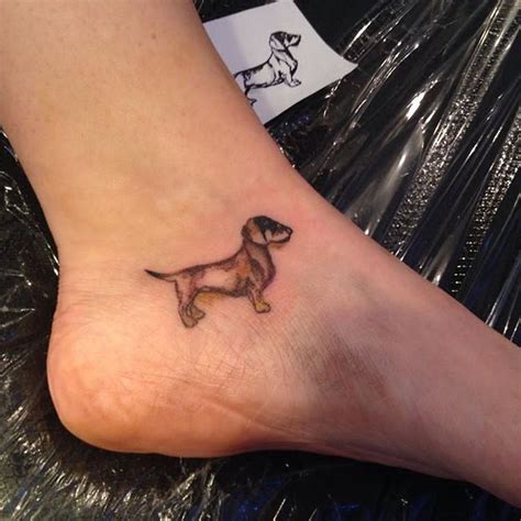 We would like to show you a description here but the site won't allow us. 175 best Dachshund Tattoos and Ink images on Pinterest | Dachshund dog, Dachshunds and Wiener dogs