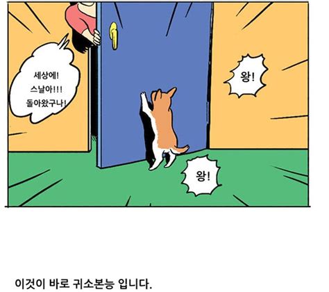 아스날 개집 네이버찻집 웃기네 지루게이 4골 포트트릭했는데 2. 스포츠 판 - 아스날 레전드