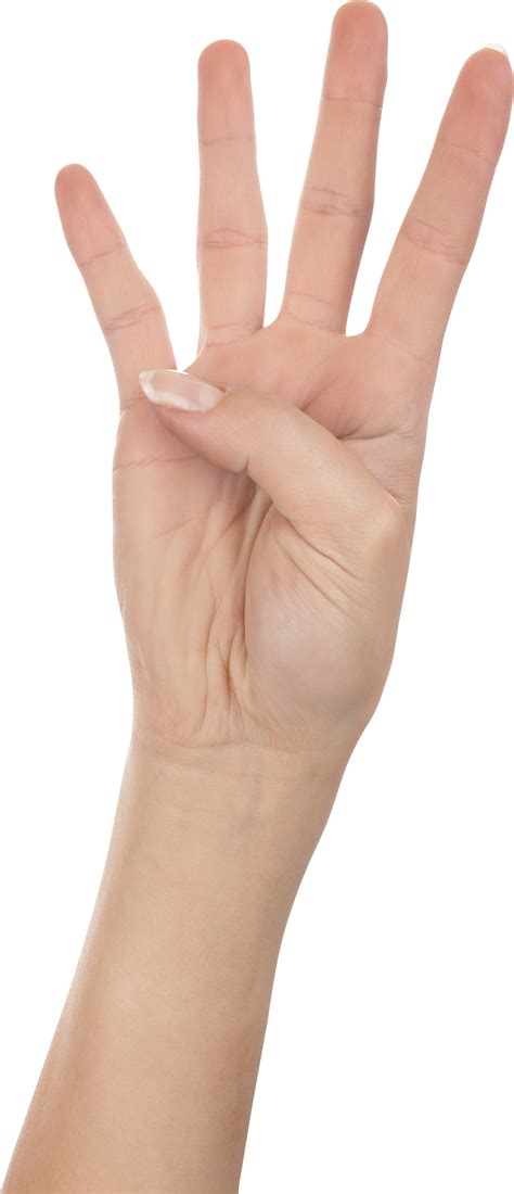 Four Finger Hand PNG Image | Finger hands, Finger, Fingerprint