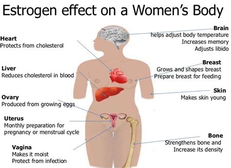 Doctor explains estrogen is safe for most women and can knock out hot flashes. How to Bring Back Your Libido Vagifirm ~ Natural Herbal ...