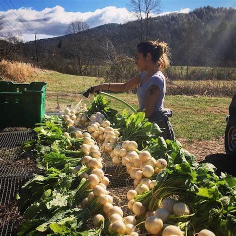 Contributing to our region by the growth of sustainable organic agriculture and research, sharing it through dynamic training and workshops within an ecovillage setting. 10 Truths of Being a Female Farmer - Organic Gardening ...