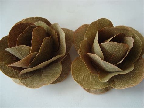 Последние твиты от o folha seca (@o_folhaseca). Flores de folhas secas | Ateliê em casa | Elo7