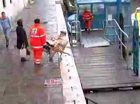 Parma, donata alla croce gialla un'ambulanza centro mobile inaugurata, nel cortile interno della protezione civile in via del taglio, la nuova ambulanza. Venezia Ambulanza - YouTube