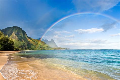 We did not find results for: Top 10 Healing Yoga Retreats Hawaii in 2021