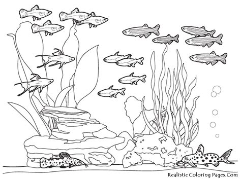 You can use our amazing online tool to color and edit the following sea fish coloring pages. Ocean Fish Coloring Pages | Realistic Coloring Pages