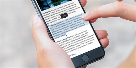 You can copy and paste text and images on both your ipad and iphone (and copy and paste between them). Guide: how to select & copy and paste text on the iPhone ...