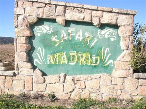 En safari madrid contamos con diferentes ofertas de inaugurado el 30 de junio de 1973, safari madrid es un parque de animales que goza de una. Safari de Madrid en Madrid - Parque natural en España