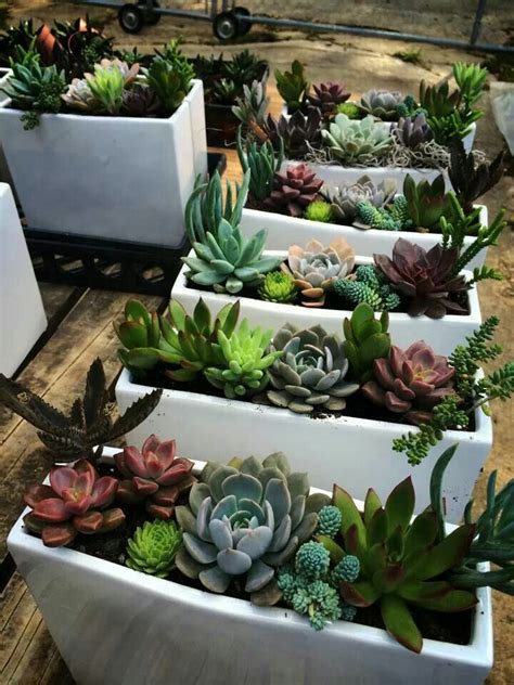 A modern indoor wall planter this planter is an easy way to start growing indoor plants. Love this modern container with succulent gardens! Found ...