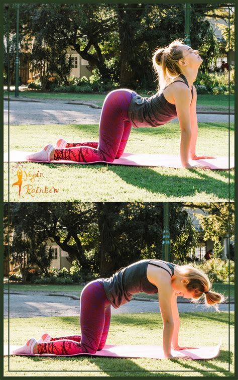 Knees under hips, hands under shoulders. Cat Cow Yoga Pose - Animal Friends