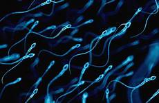 sperm count why male