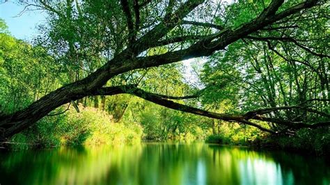 Phone wallpaper lockscreen wallpaper tumblr wallpaper iphone wallpaper. 3d Nature Wallpaper For Android Mobile Free Download ...