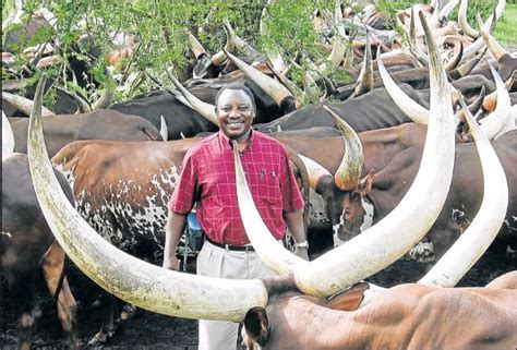 Fellow south africans, we are now 11 days into a new year. PressReader - Daily Dispatch: 2018-01-11 - RAMAPHOSA'S HERD