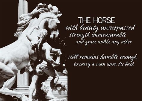 Learn vocabulary, terms and more with flashcards, games and other study tools. War Horse Quote Photograph by JAMART Photography