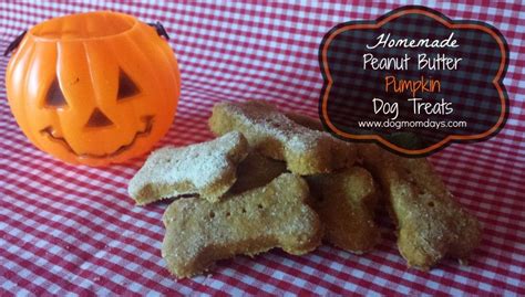 If you make larger homemade vegetarian dog treats, they'll need to cook a bit longer. Homemade Dog Treats | Dog treats homemade recipes, Healthy ...
