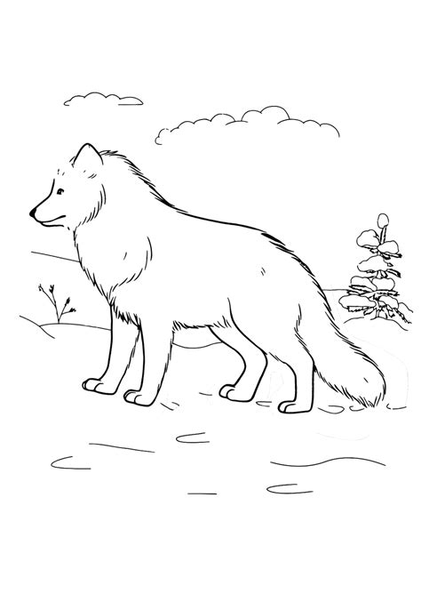 That was 10 free coloring pages of arctic animals hopefully useful and you like it. Arctic Fox coloring pages | Coloring pages to download and ...