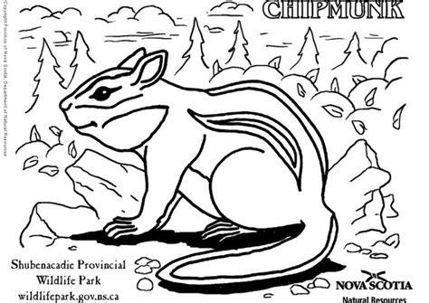 Have fun with this coloring sheet! Coloriage tamia - Coloriages Gratuits à Imprimer - Dessin 6011