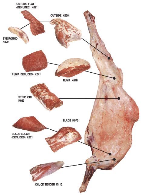 It's a valuable resource for those who seek the comfort of the extremities offered by the biomes of near harad. Cannundrums: Camel Loin - Grilled, Baked and Sous Vide