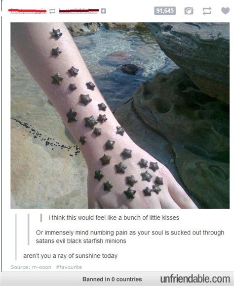 Browse and share popular actual ray of sunshine gifs from 2021 on gfycat. Pin by Cheyenne volk on LOL | Tumblr funny, Funny pictures, Funny memes