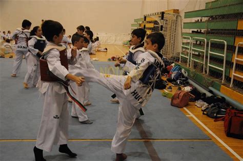 The 2016 summer olympics (portuguese: El Taekwondo Olímpico comarcal se dio cita en Los Barrios ...