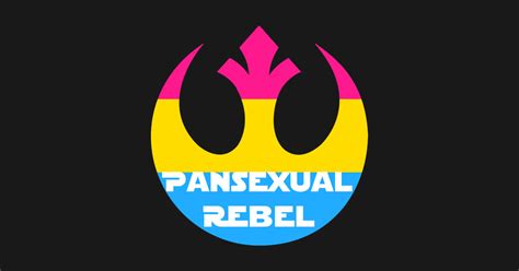 The romantic counterpart is panromantic. Pansexual Rebel Pride - Pansexual Pride - T-Shirt | TeePublic