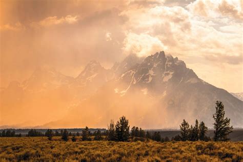 04 881 3530 opening hours: The National Park Service Announces 'Entrance Fee-Free ...