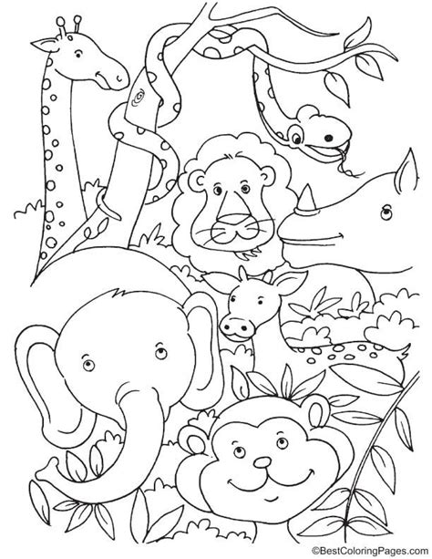 A large collection of coloring pages, where you can choose your favorite images, print them or download them. Tropical rainforest animals coloring page | Animal ...