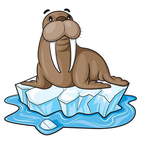 Its resolution is 2269x2269 and with no. Walrus Cartoon » Clipart Station