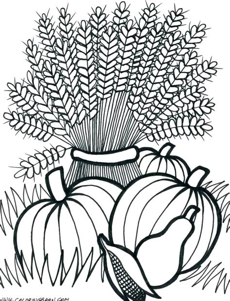 Click here to print the free cornucopia coloring page. Free Printable Cornucopia Coloring Pages at GetDrawings ...