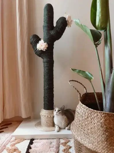 Behold, the cat scratch cactus! This Cactus-Shaped Cat Scratching Post Is Exactly Why We ...