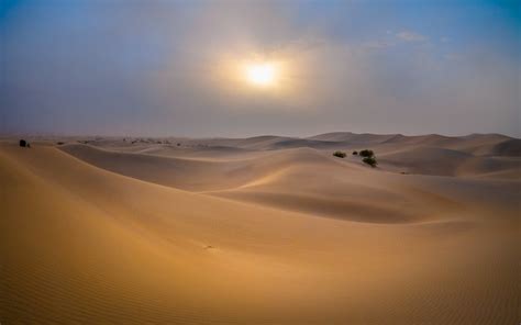 Another death note death note poster 2 link death note poster 3 link. Death Valley Sand Dunes Autumn Wind Storm Fuji GFX 100 Zen ...