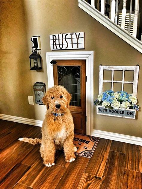 It seems we are seeing more and more people submitting diy projects around the house lately. 12 Awesome Under Stair Dog House Ideas To Maximize Your ...