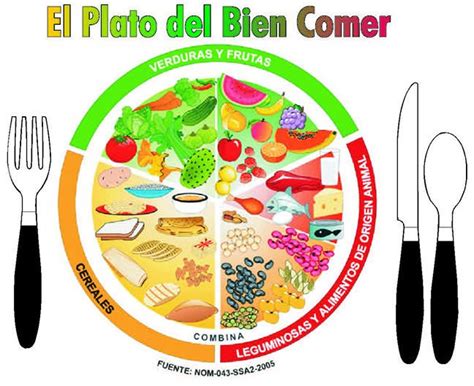 It's tough to find a truly good version of this mexico city torta, given that. Image of Mexico food guide | Food guidelines, Mexico food, Nutrition