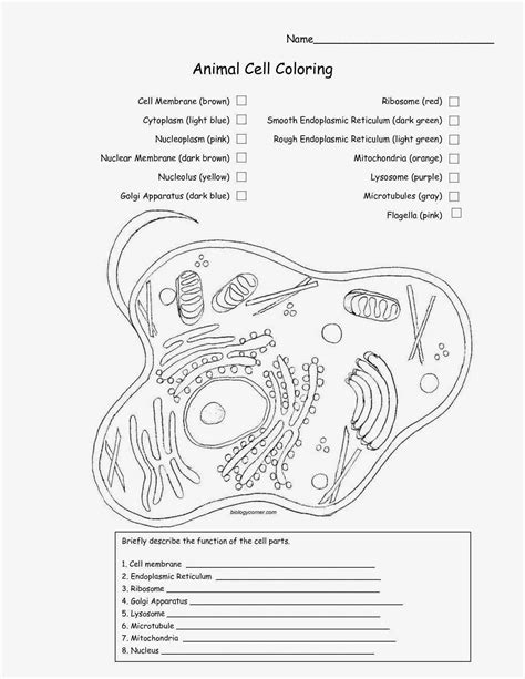 A biology resource site for teachers and students which includes lesson plans, student handouts, powerpoint presentations and laboratory investigations. Animal Cell Coloring Key Fresh Plant Cell Coloring in 2020 ...