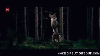 What does the fox say gif. Fox Animated GIF