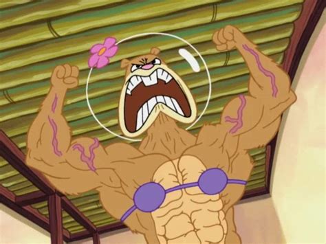 Sandy cheeks muscle growth, sandy flex hard muscles, sandy cheeck muscle growth. Sandy Cheeks | Wiki | Cartoon Amino