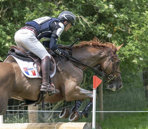 Three fantastic clear rounds inside the time not only keeps team gb in the gold medal position, but also moves oliver townend into the individual gold medal position and laura collett into individual bronze after the cross country phase of the tokyo 2020 eventing competition. Joseph Murphy moves up to 15th after Pau Cross Country ...