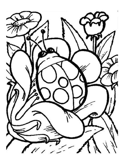 Coloriages de vaches à imprimer gratuitement pour les enfants. Coloriage coccinelle à imprimer gratuitement