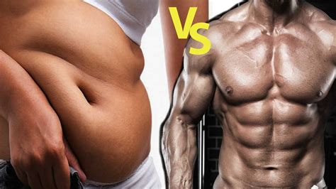 Other muscles, like the heart, and the muscles of the inner ear, perform other functions. |Benefits & Side Effects| Fat Vs Muscle Size & Weight ...