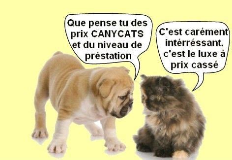 Il faut visiter au prélable l'établissement, réfléchir.certains établissements ont une connexion de vidéo. garde chien tarif - Garde de chiens